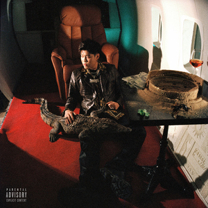 麻豆少妇水电工003X88
