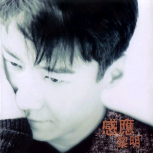 麻豆少妇水电工003X88
