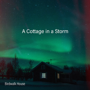 麻豆少妇水电工003X88
